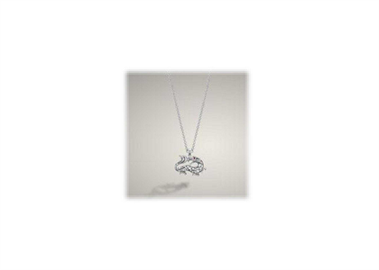 White Gold Plated | Fashion Pendants